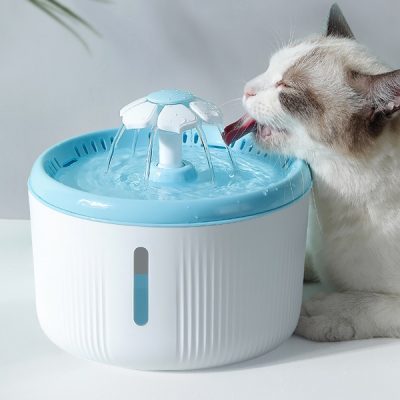 [Giải đáp] Mèo có thể nhịn đói bao lâu?