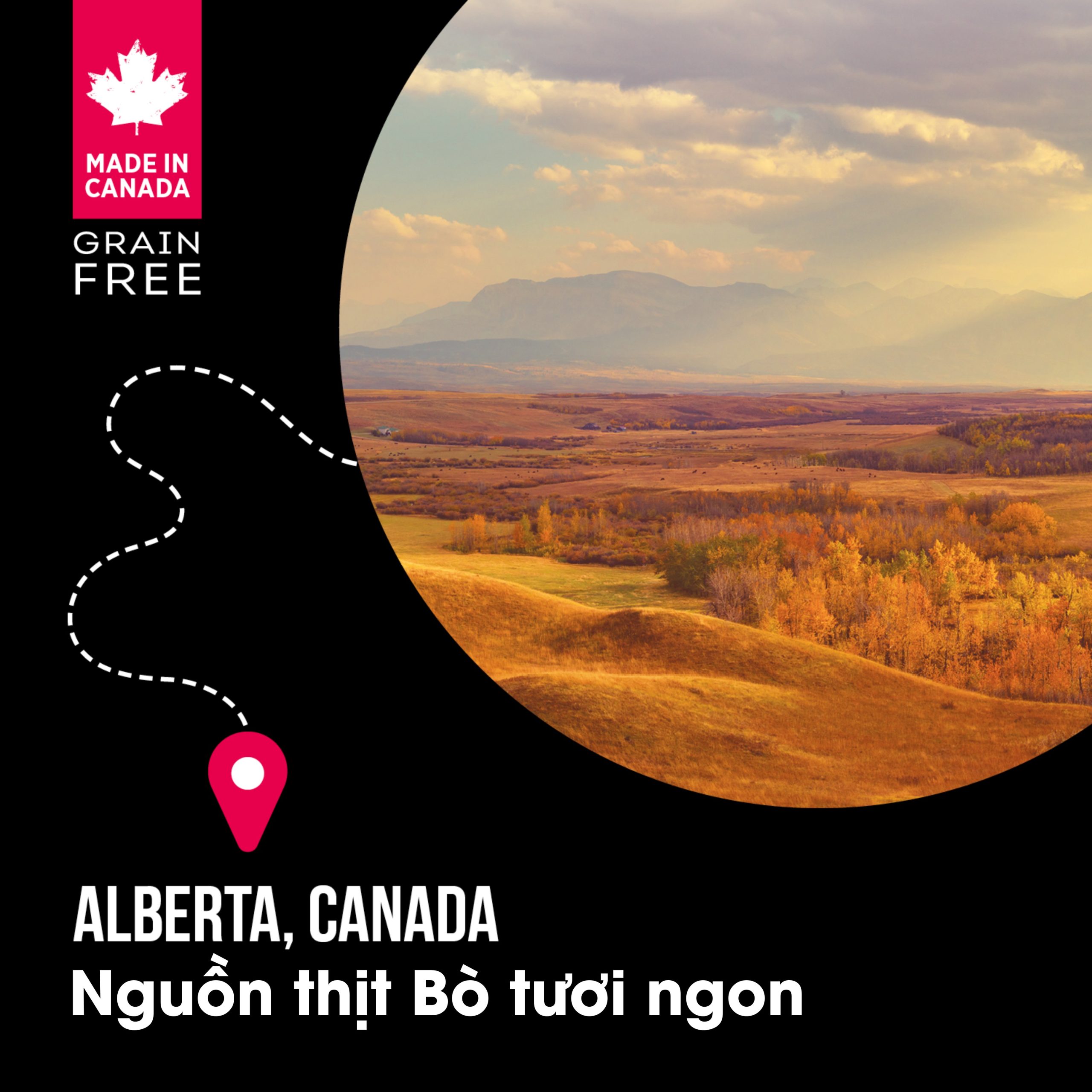 a0af0668b7793a2763687