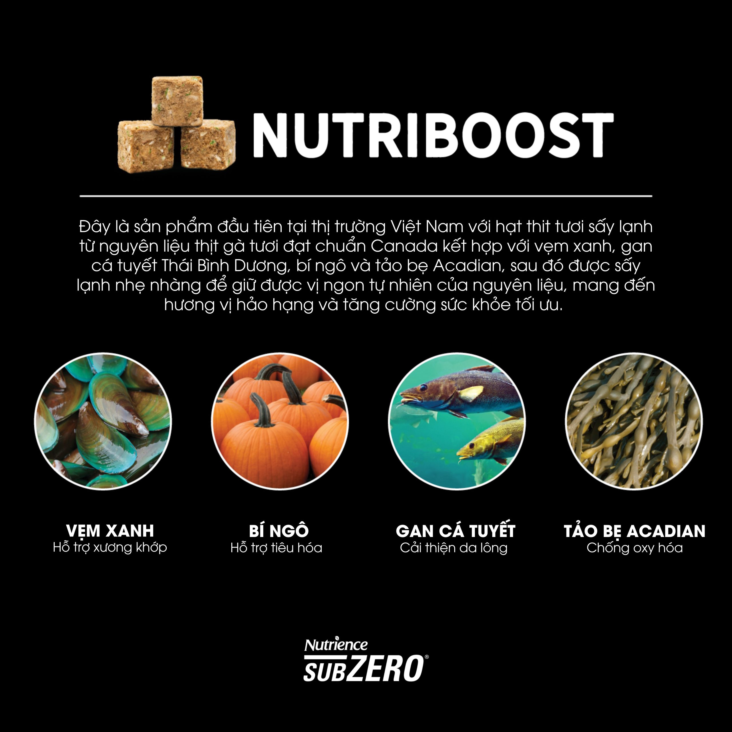 a13e1debacfa21a478eb1