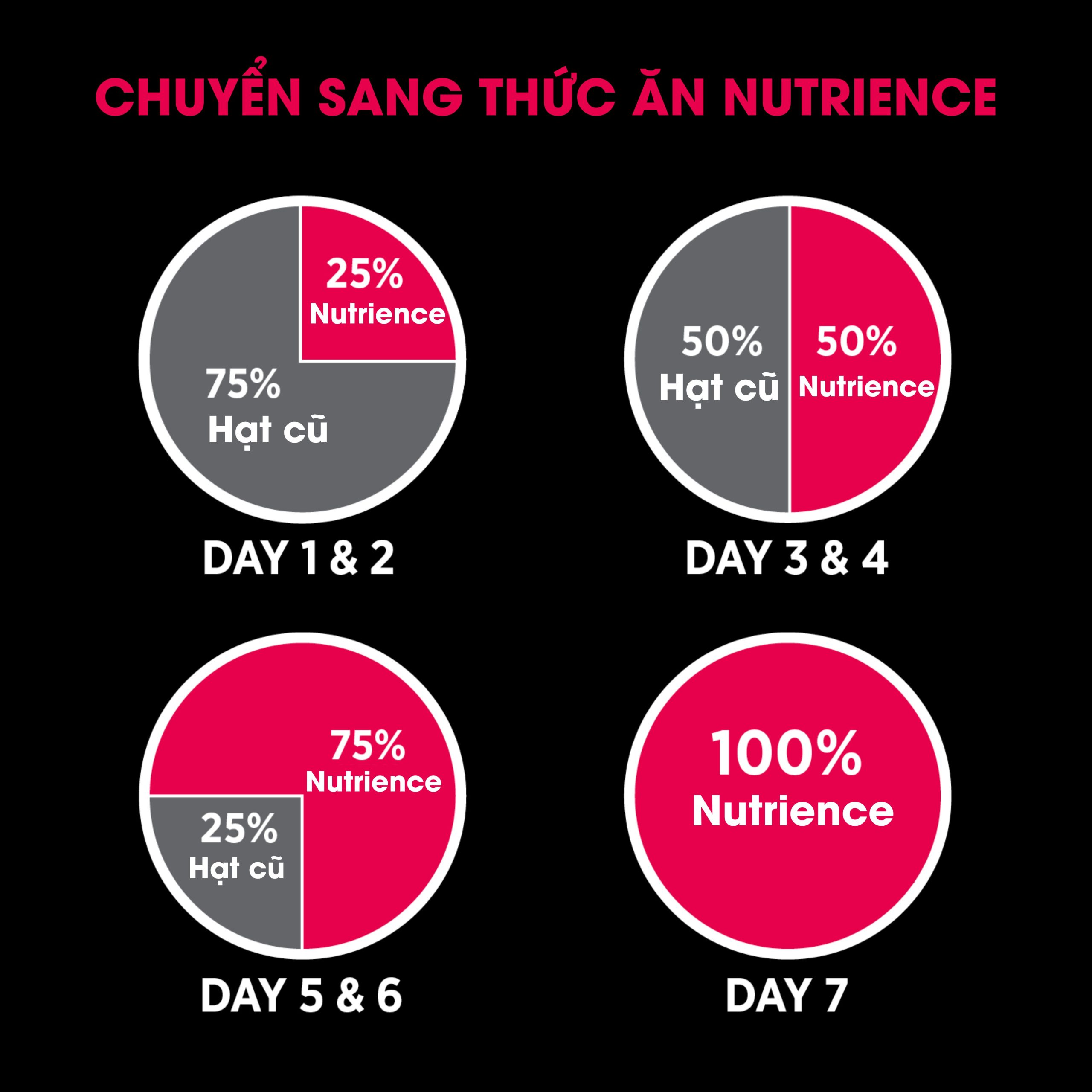 c1af4c41fd50700e29416